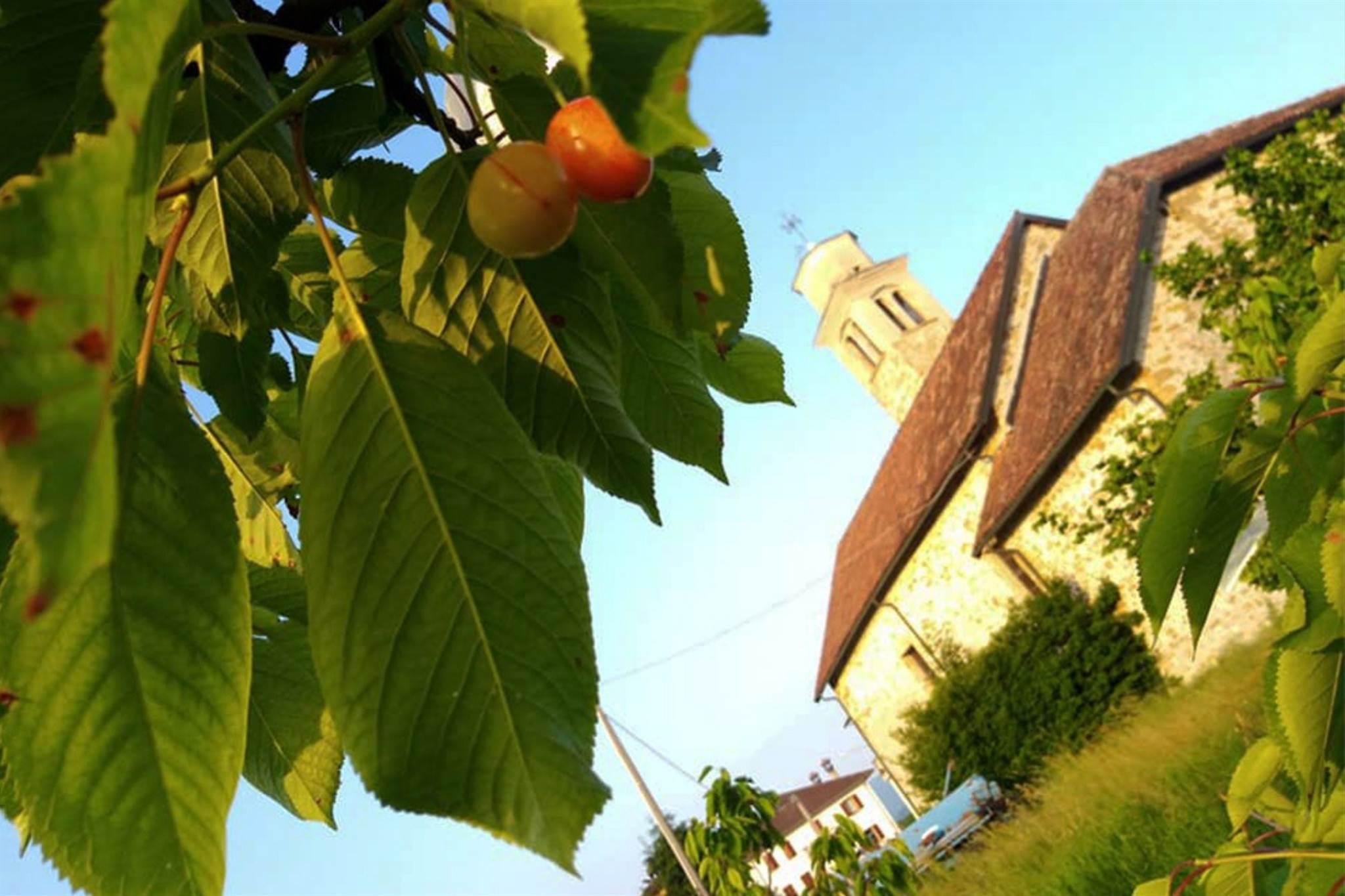 Antica Pieve