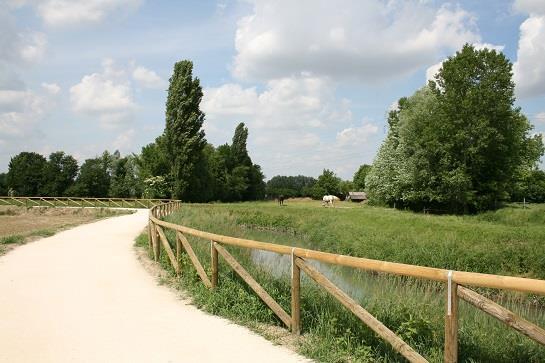 Itinerario lungo l’argine del fiume Dese