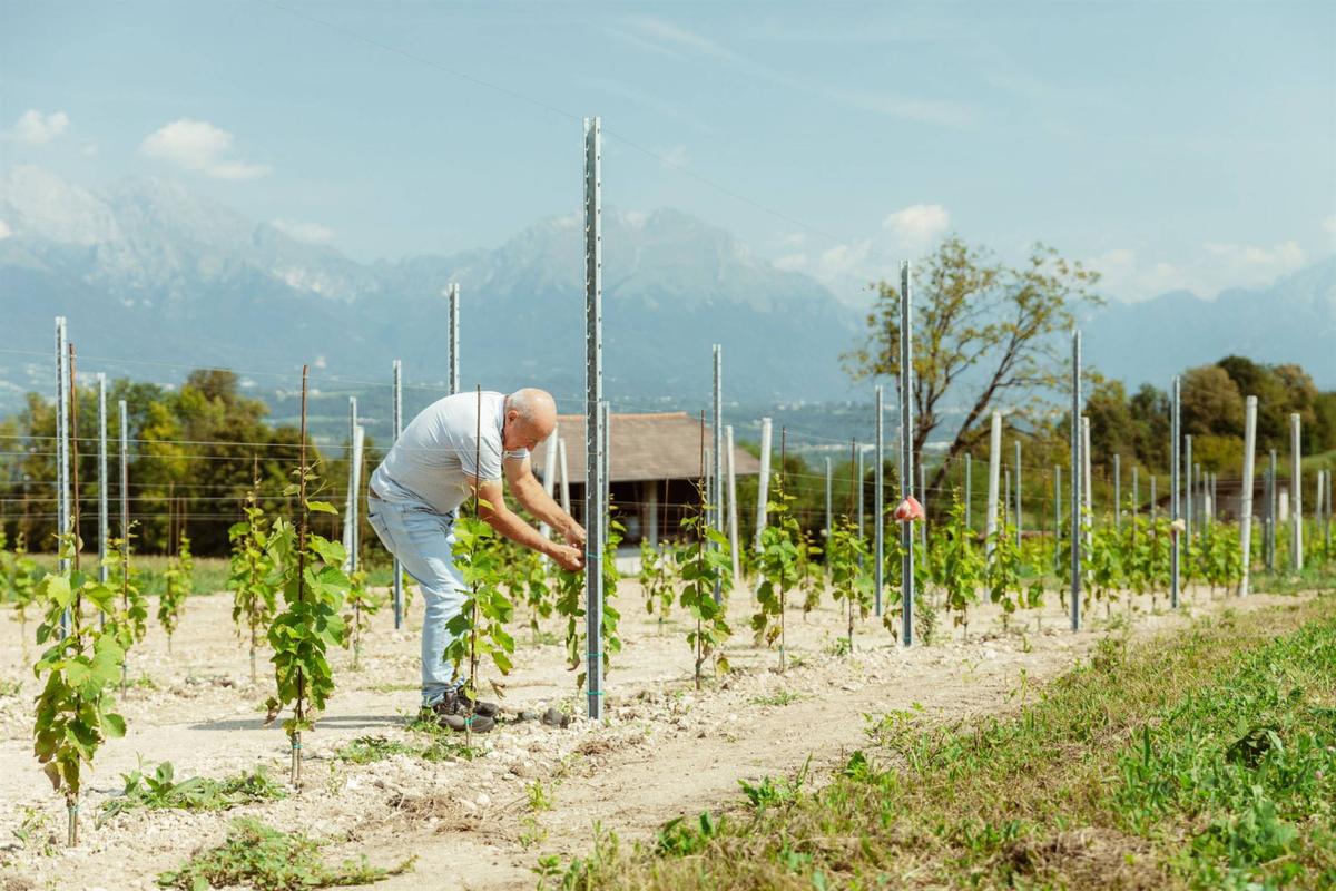 Azienda Menel