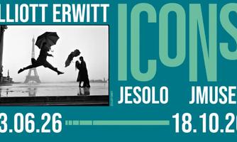 Elliott Erwitt Icons