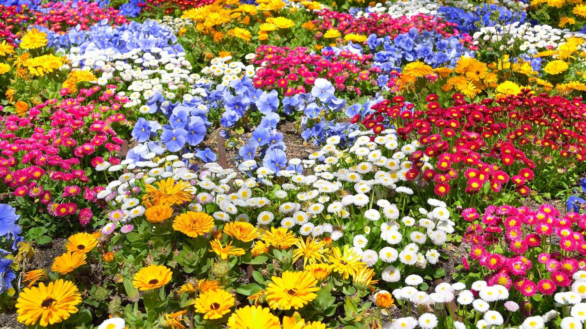 In Giardino di sera – Solstizio d’Estate