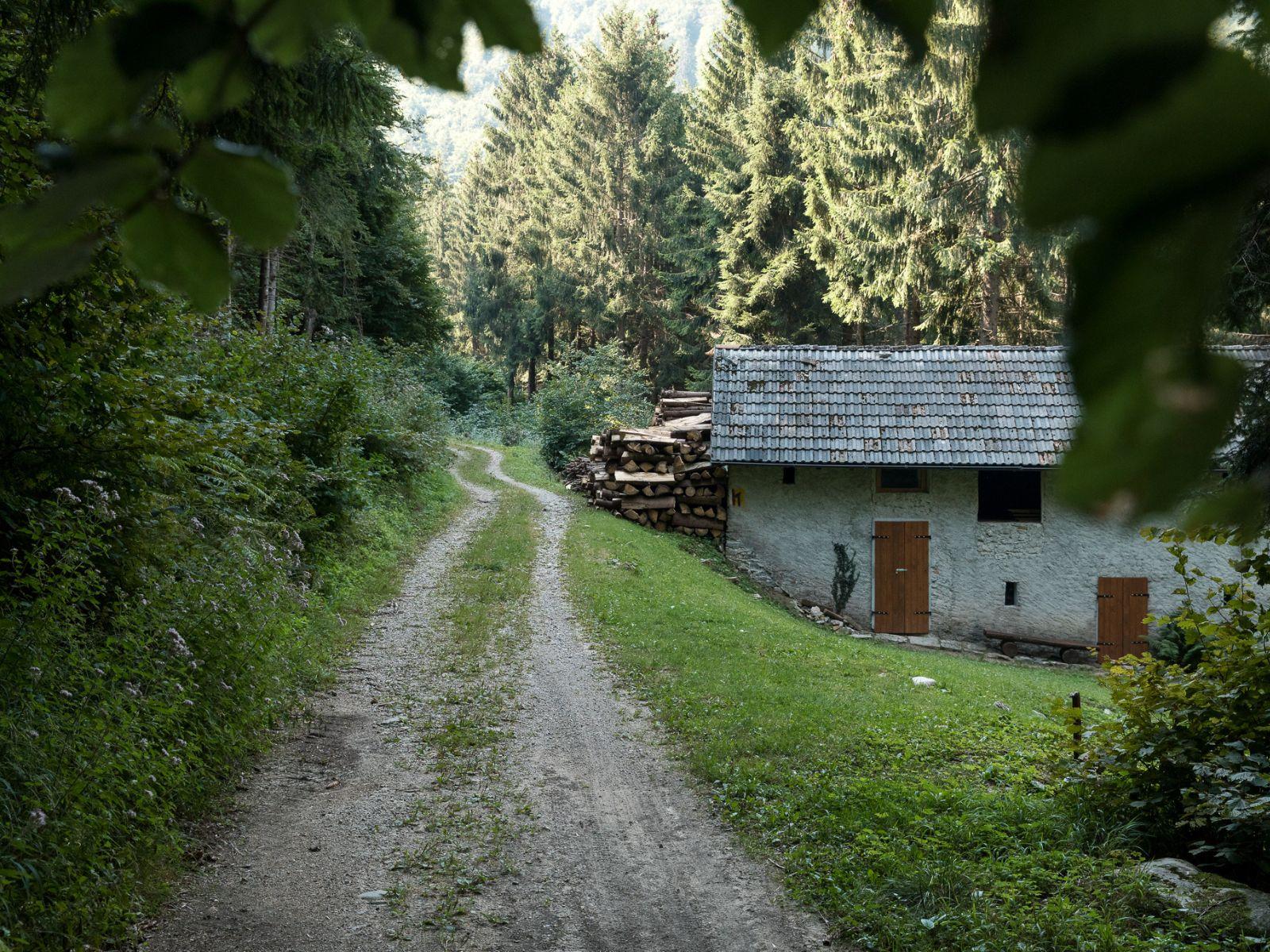 Zelant Trail Experience