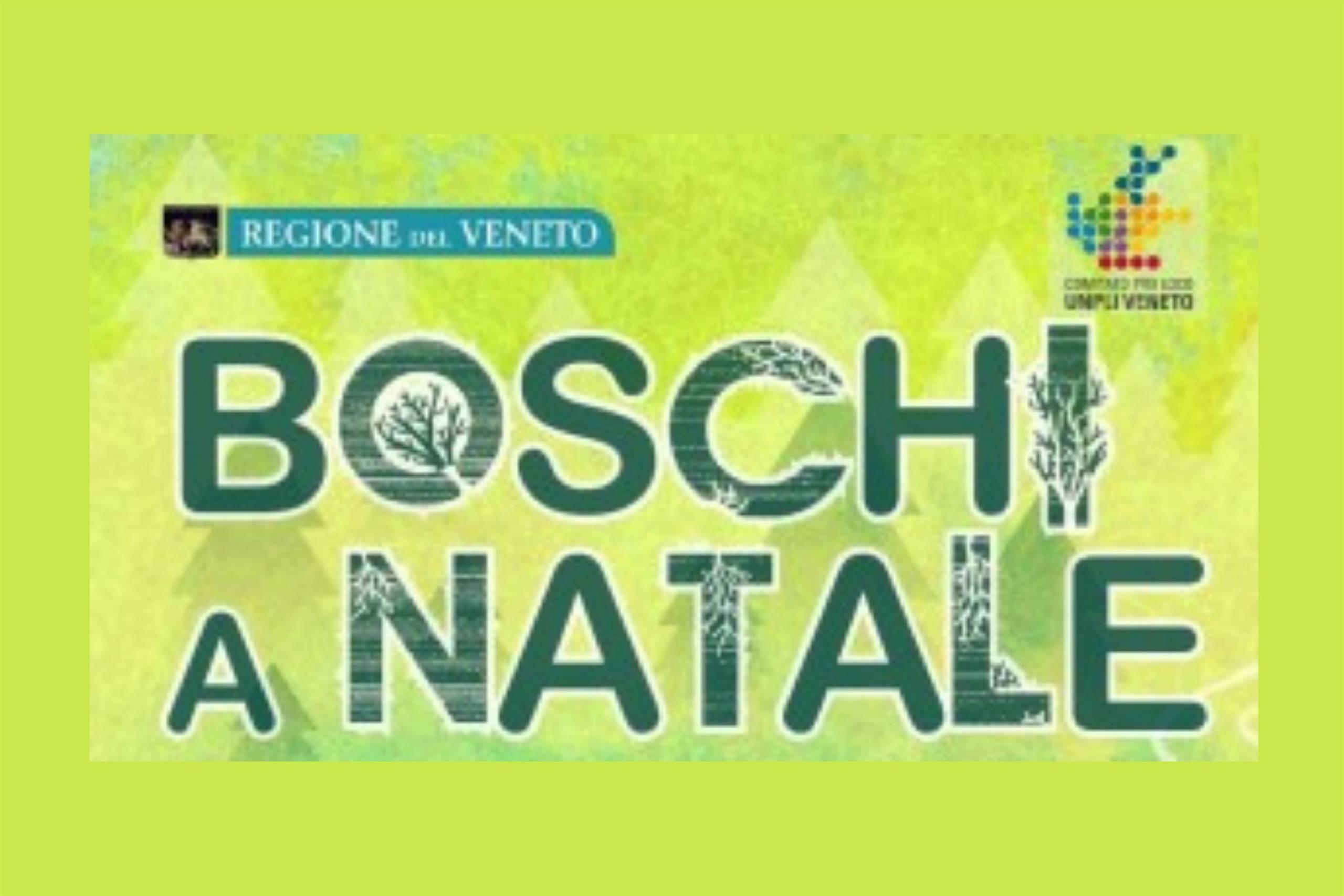 Boschi a Natale: Tenuta Protti