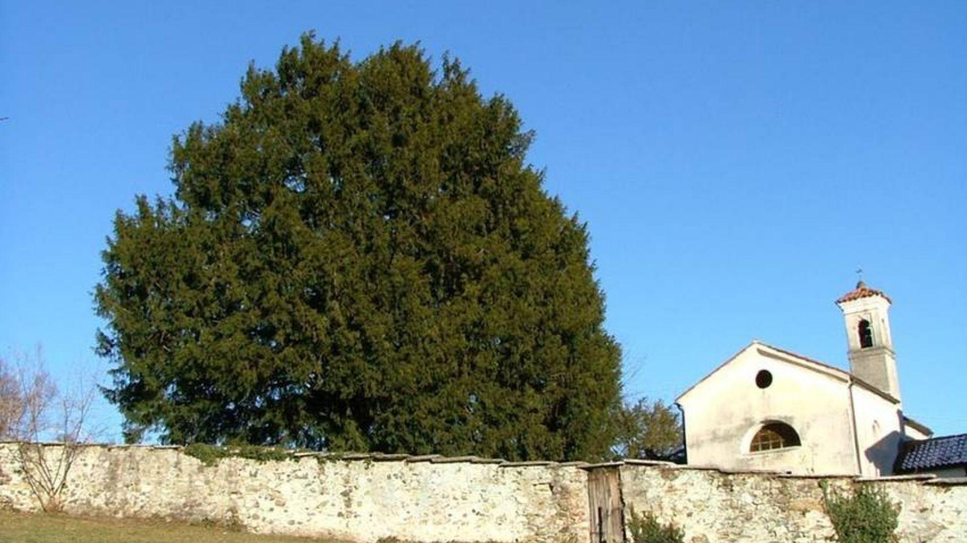 Novembre al Tasso