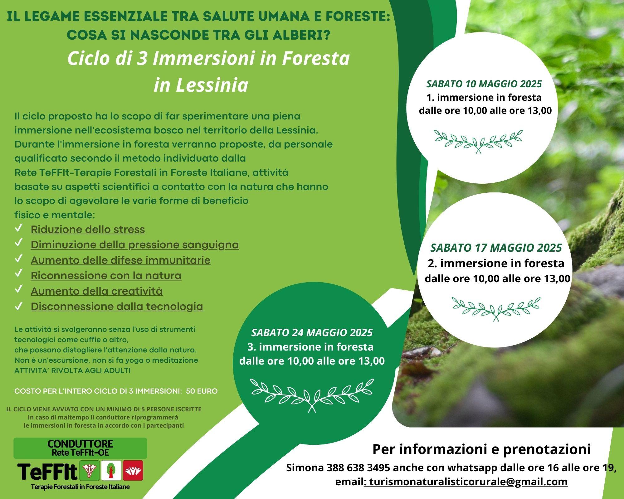 Il legame essenziale tra salute umana e foreste: ciclo di 3 immersioni