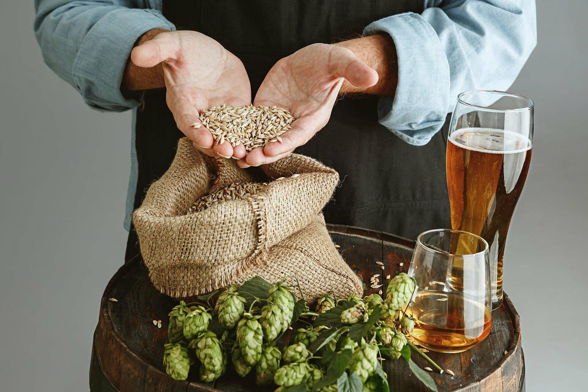 BIRRIFICIO BIOFEVARI DI STEFANI FRANCESCO