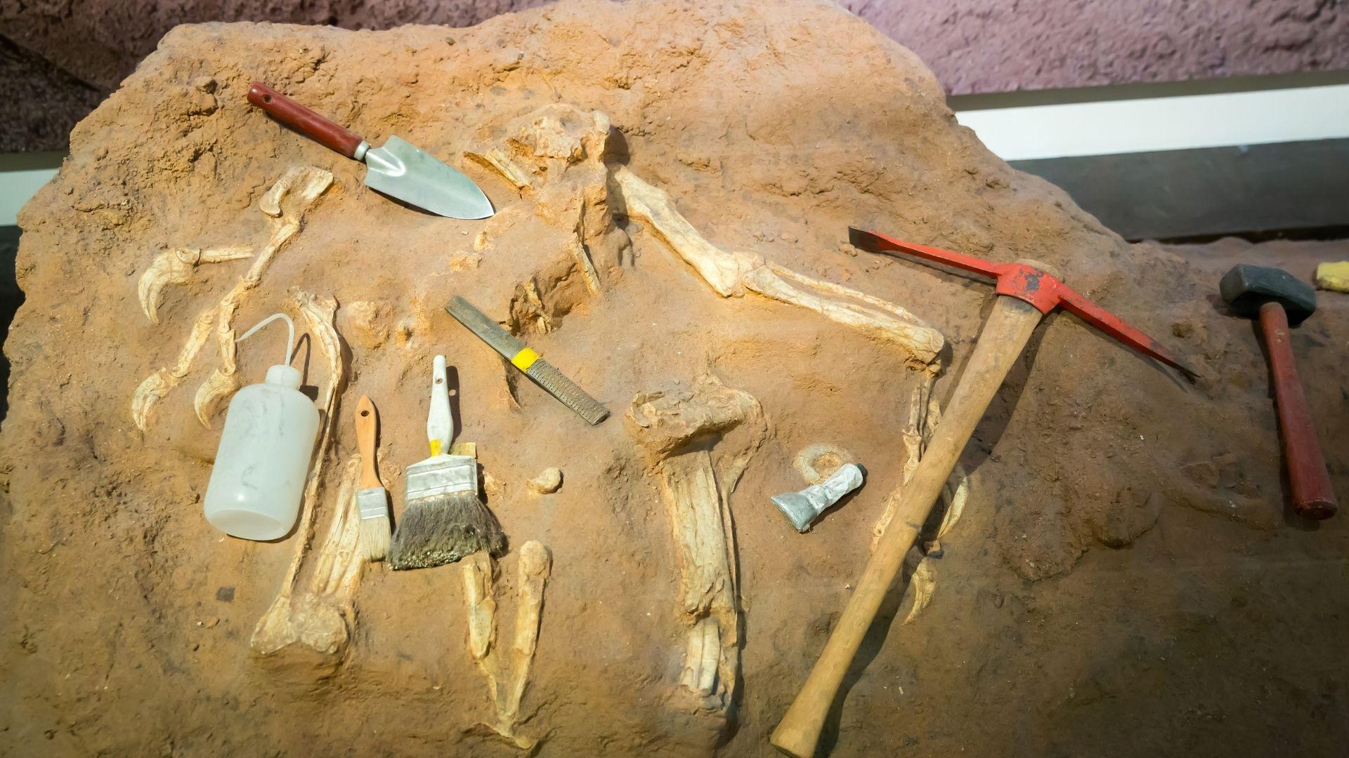 Dolomiti e Pianura. Vita e Cultura a confronto 3.000 anni fa