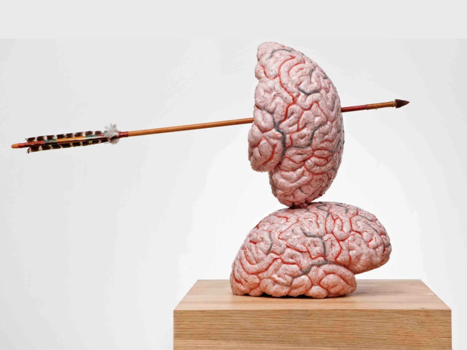 Brain thinking models and drawings Jan Fabre