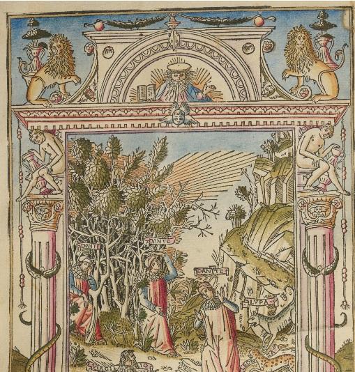 L'evoluzione della lingua