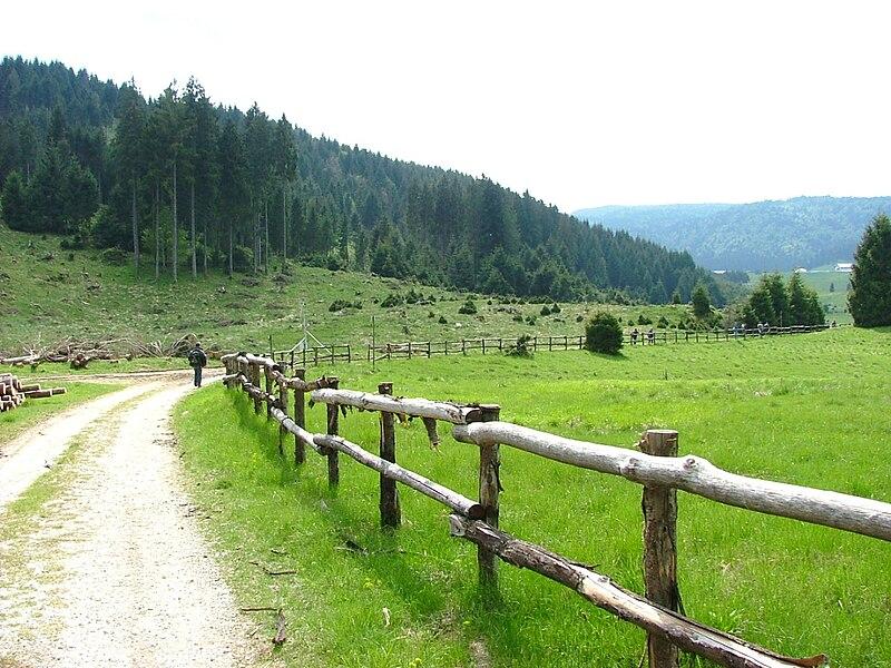Pian Cansiglio - 3