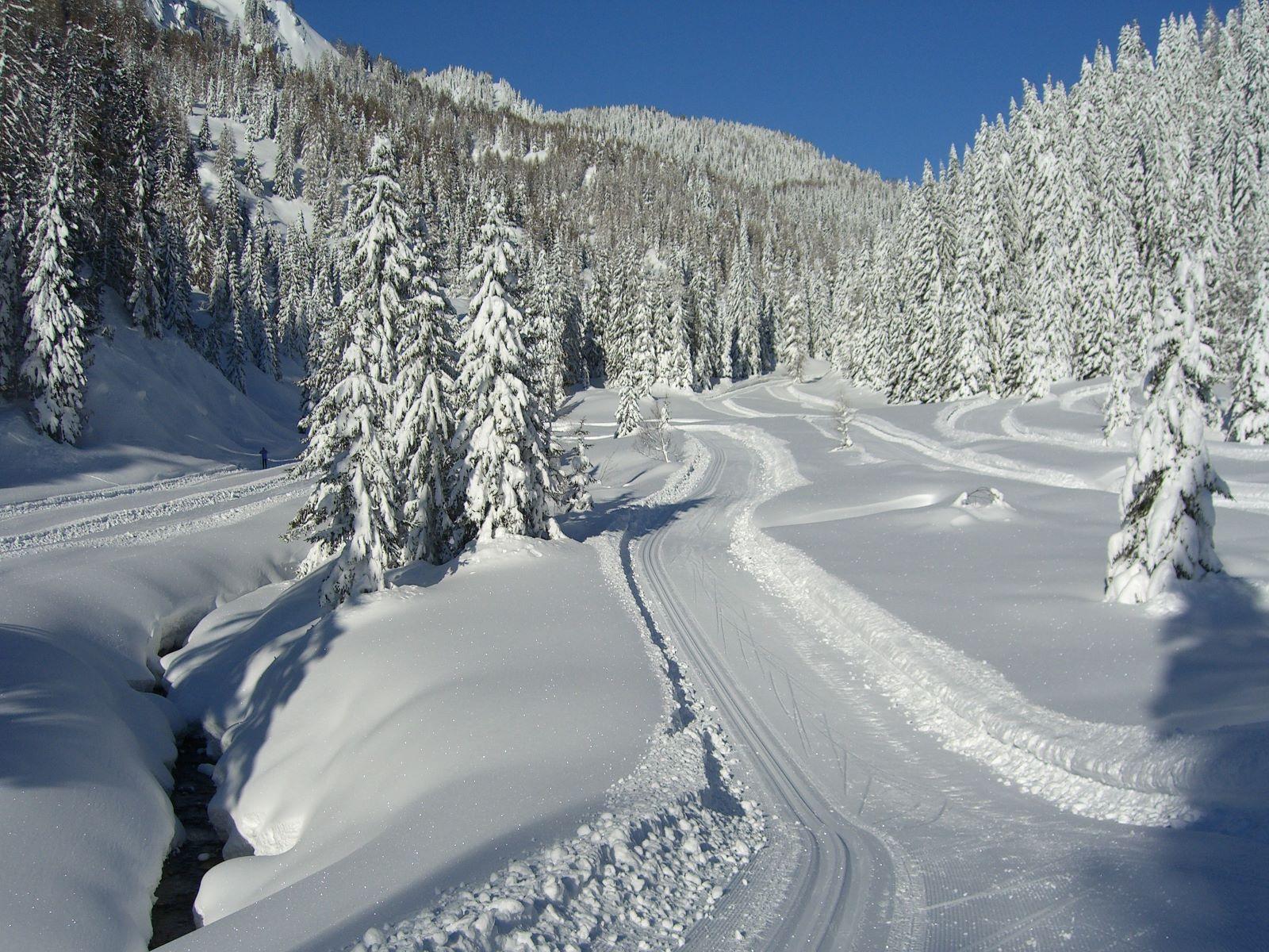 Centro Fondo e Biathlon Palafavera - 2