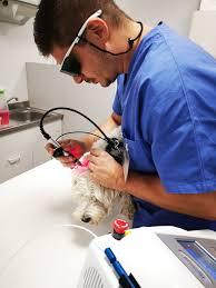 Centro Veterinario Oltrebrenta