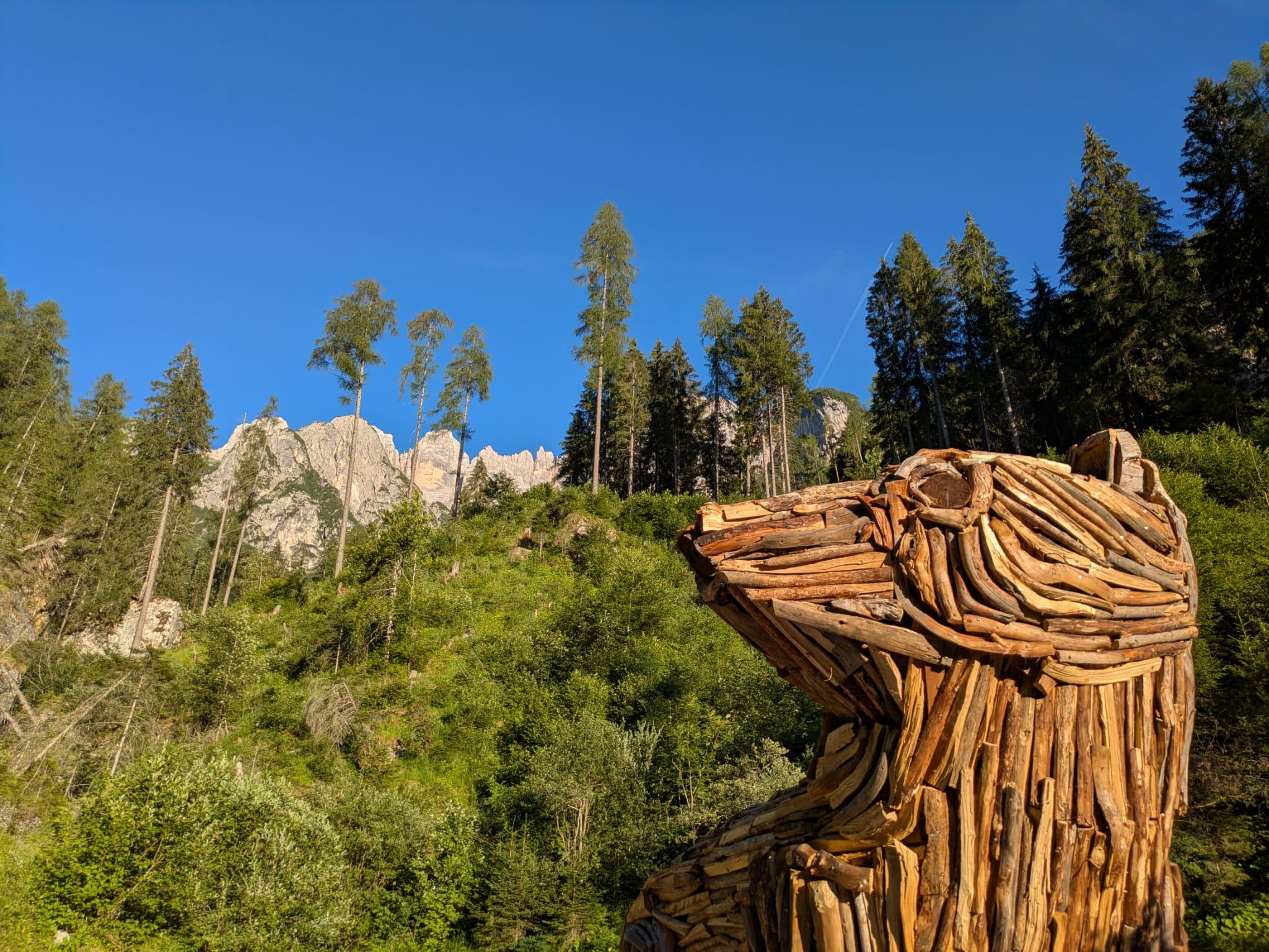 La Faina di Vaia - 2