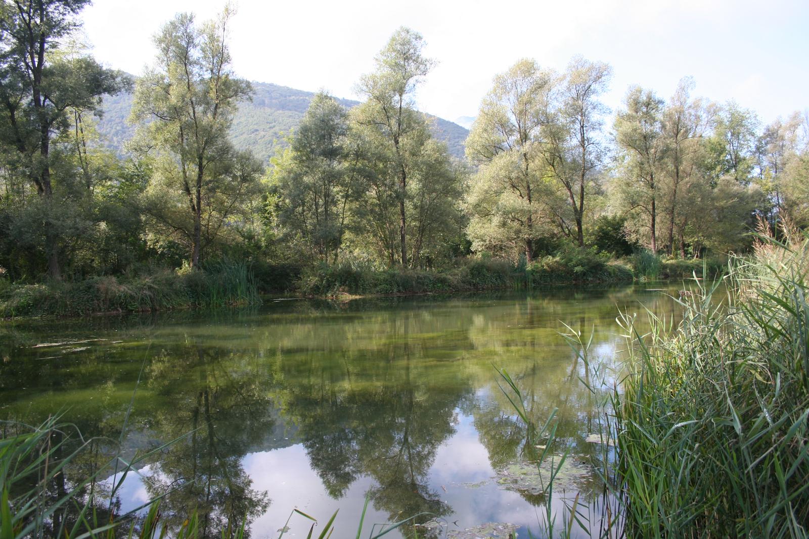 Riserva naturale Vincheto di Celarda