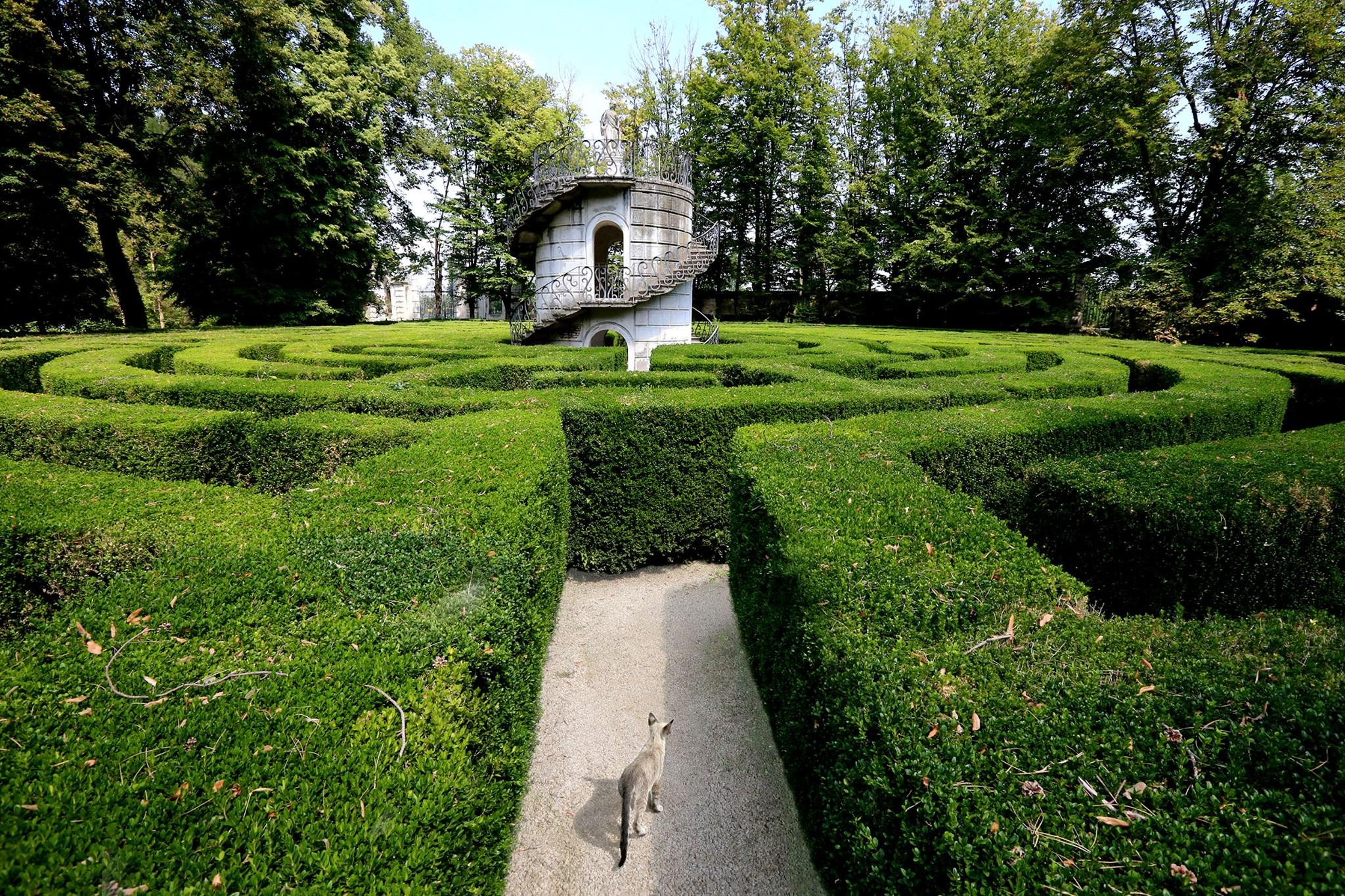 Museo Nazionale Villa Pisani