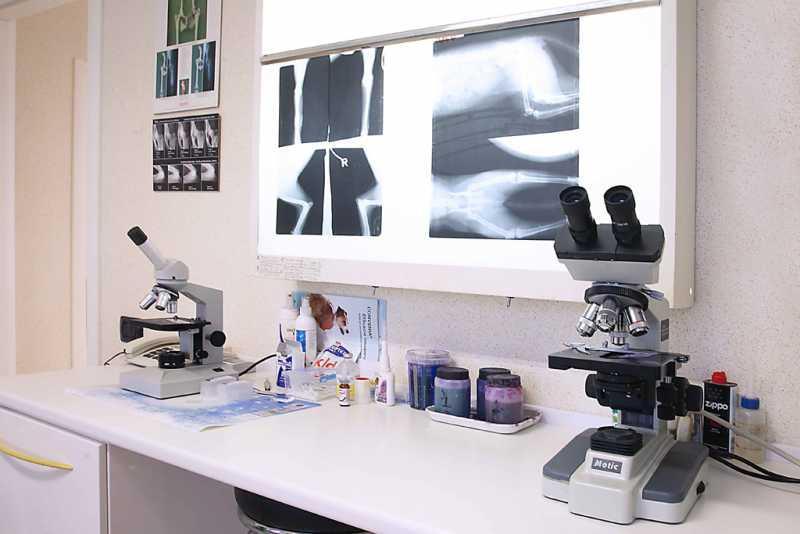 Ambulatorio Veterinario Dott. Daniele Lazzari