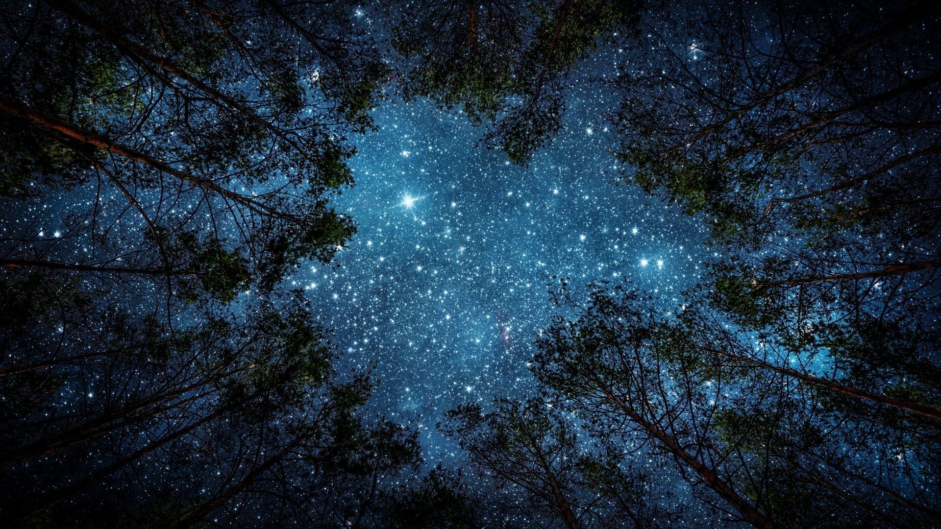 Ammirar le stelle in malga