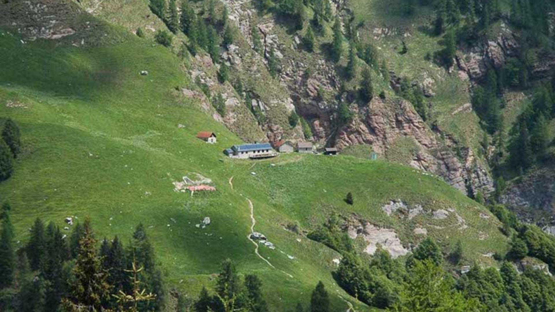 La foresta degli altissimi abeti bianchi: la magica Val del Grisol