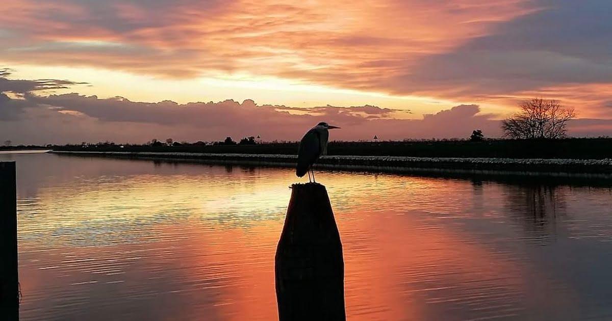 Tramonto in Laguna con “cena sulla Pettegola”