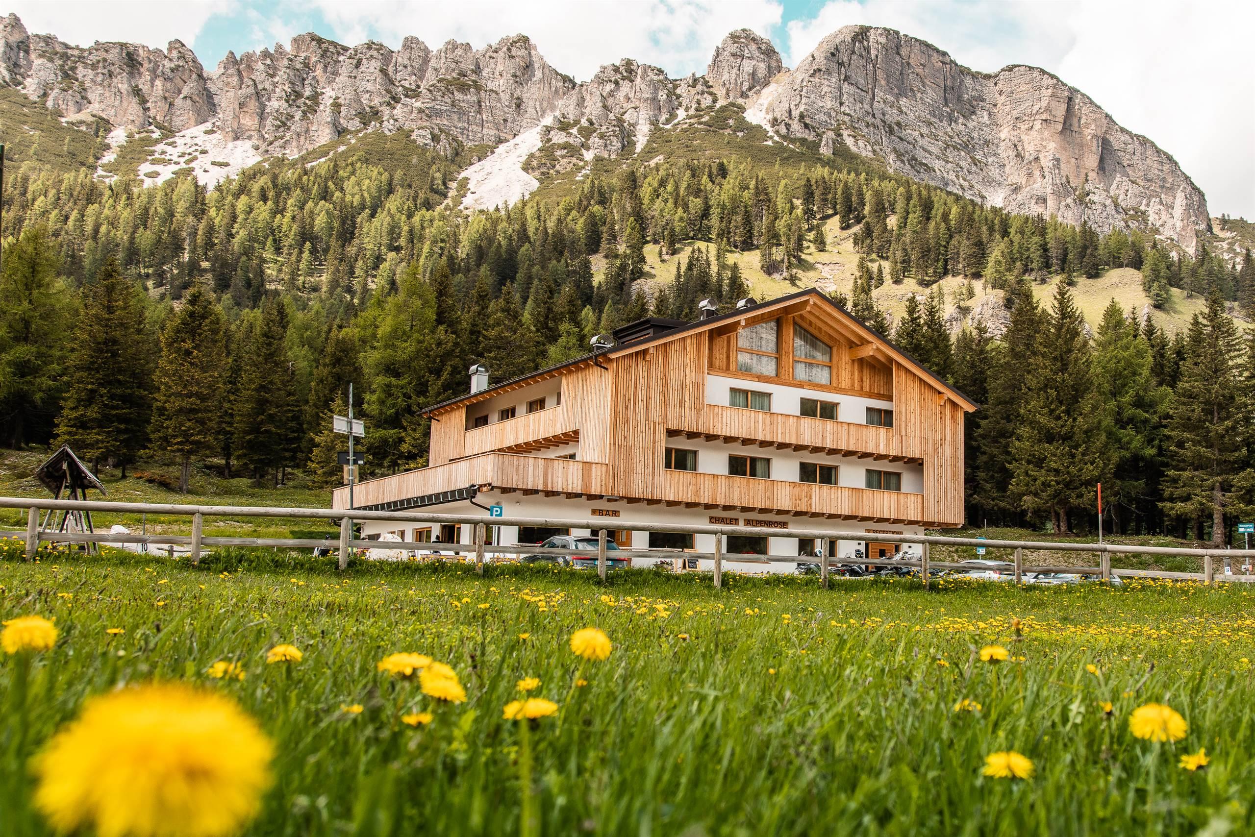 CHALET ALPENROSE - 2
