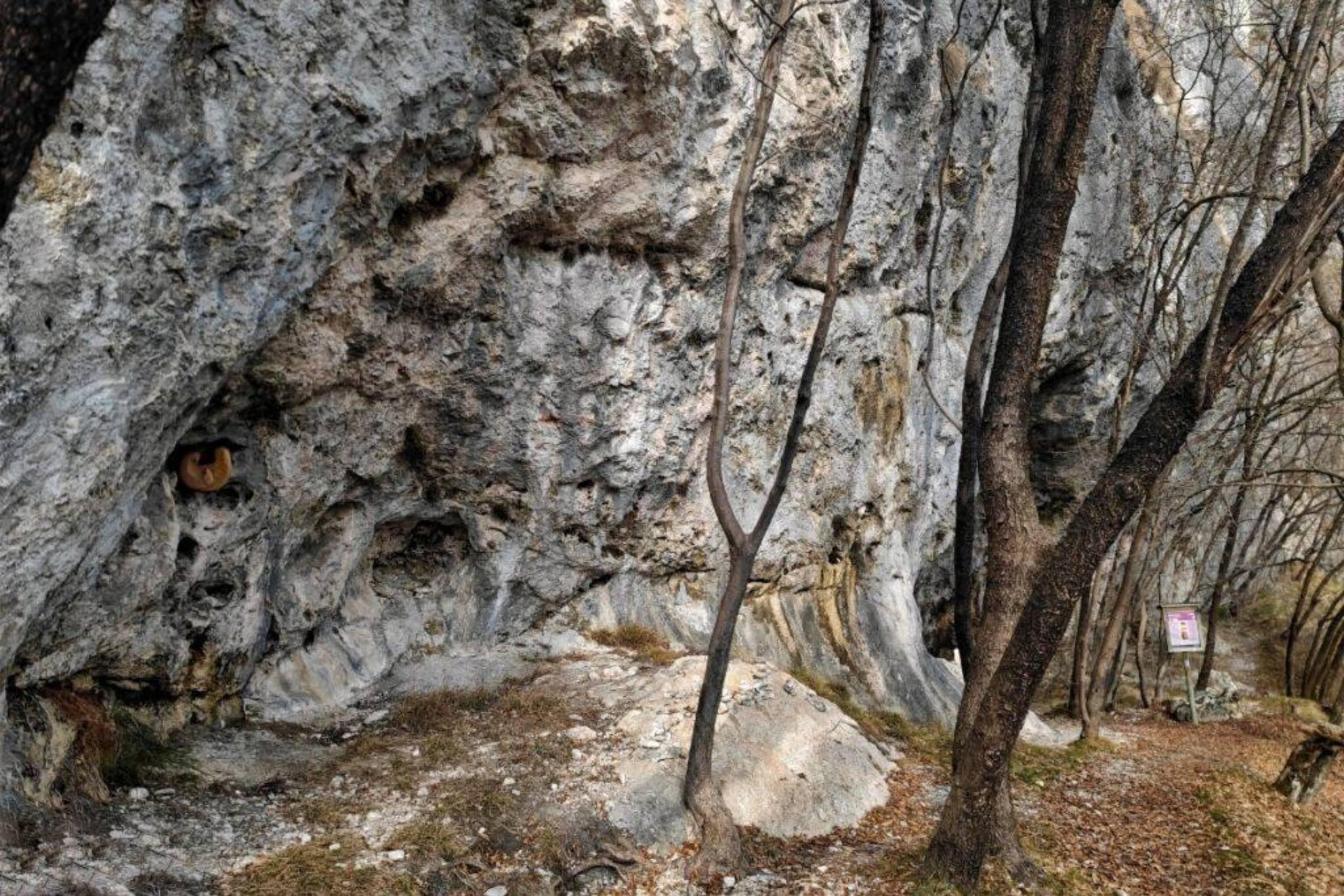 Gli antichi Covoli della val di Lamen