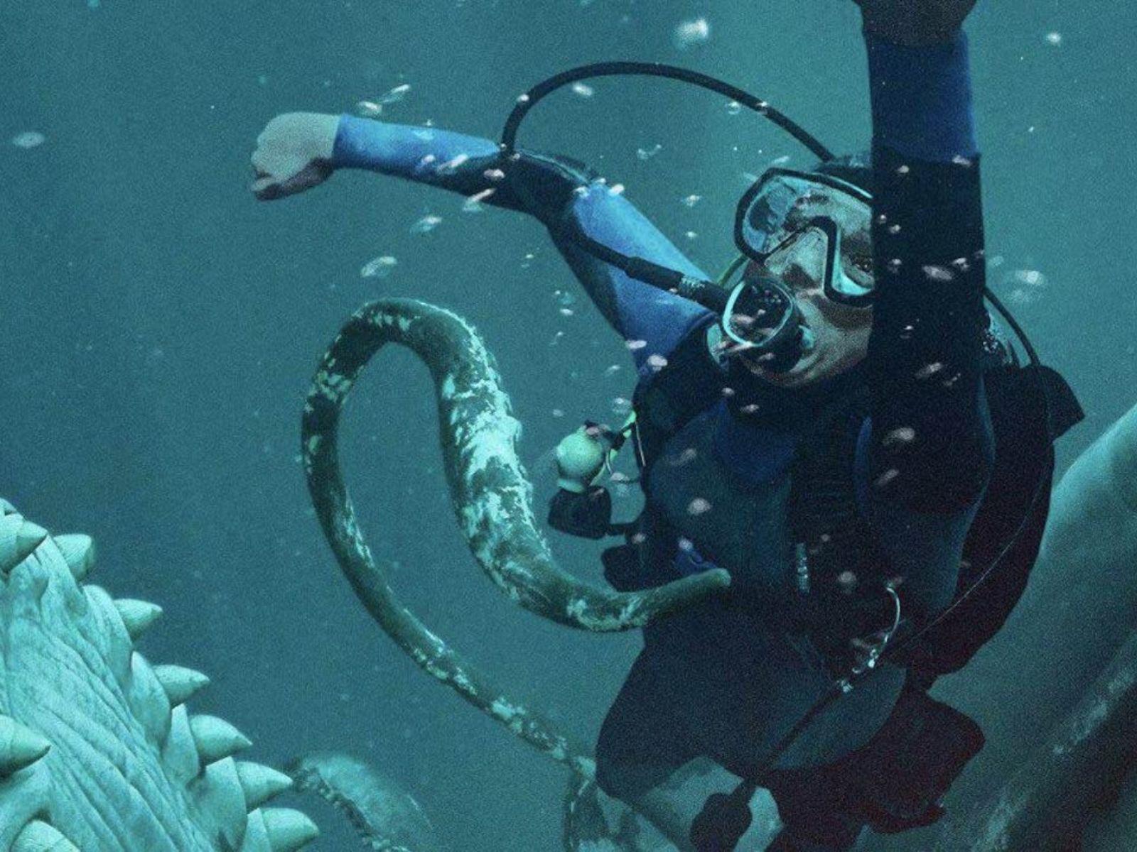 Whalefall: nella balena