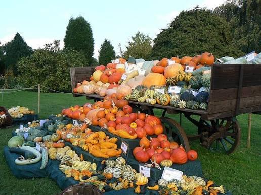 Festa della Zucca