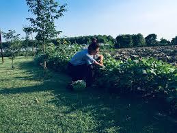 Habitat 3650 Organic Farm
