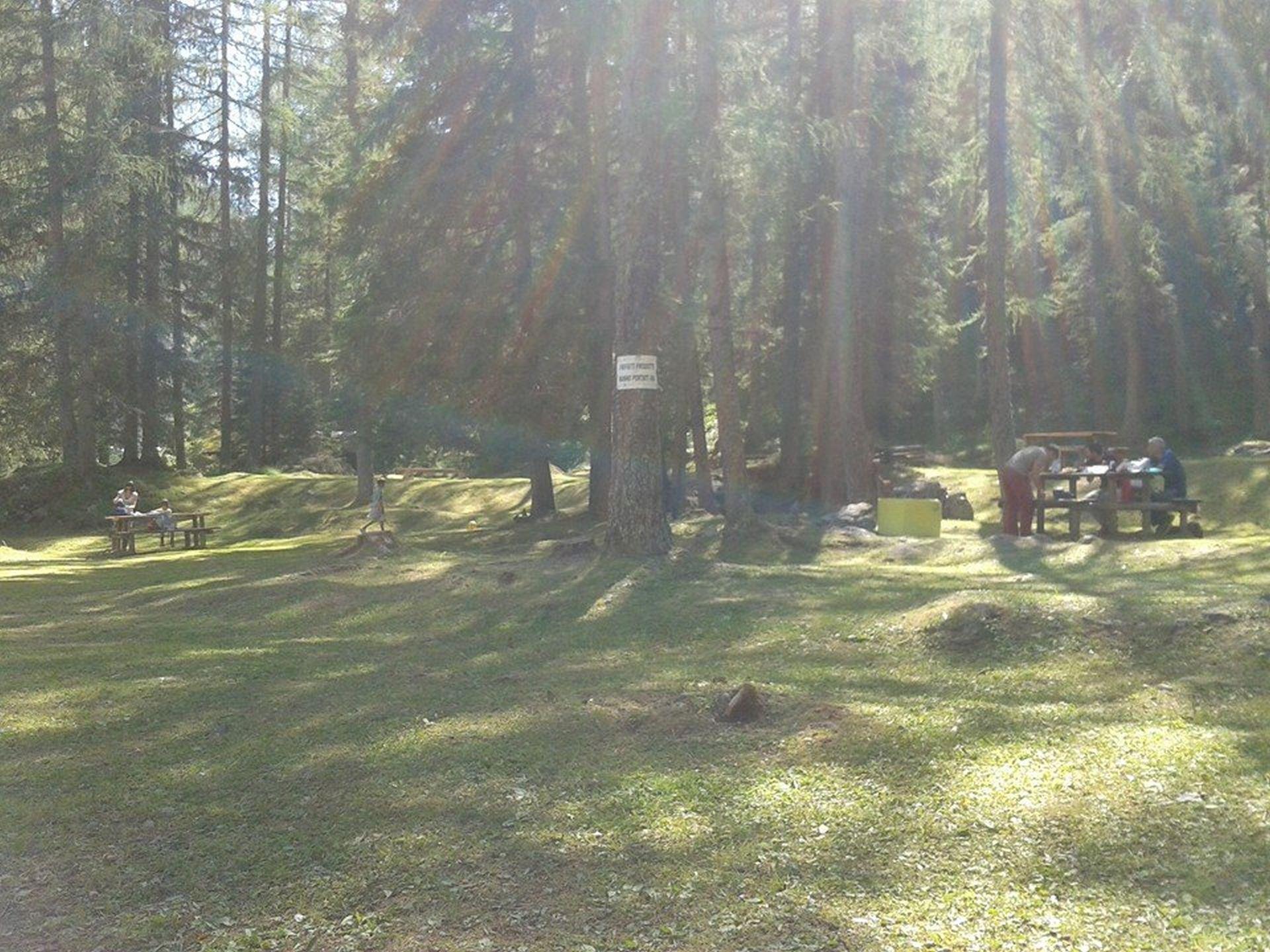 Area picnic Malga Ciapela