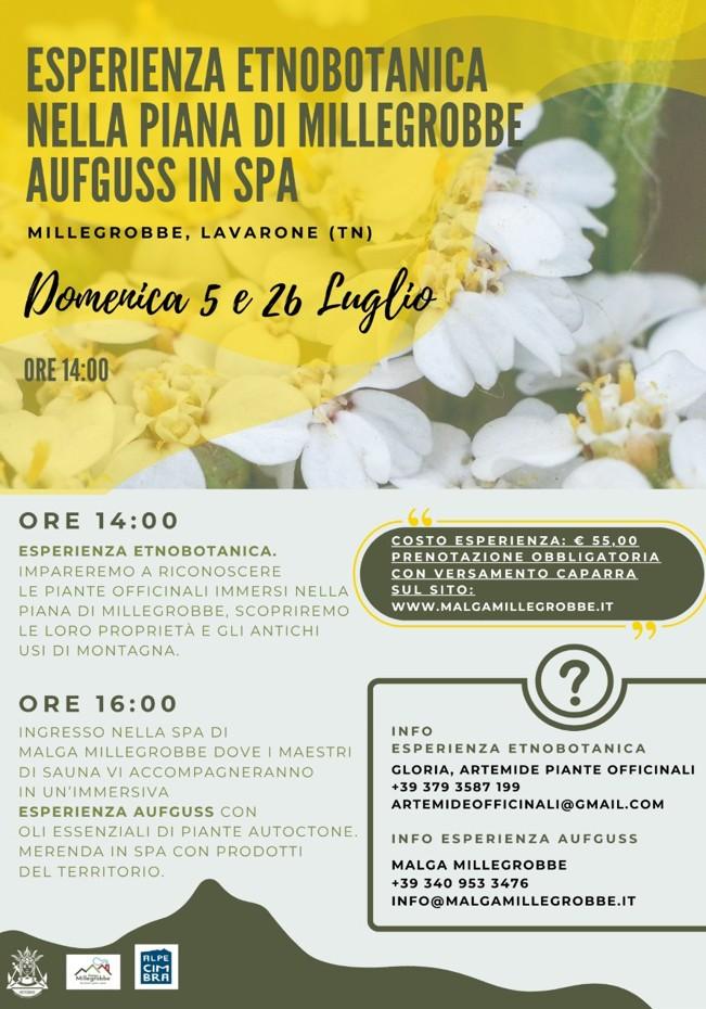 Esperienza EtnoBotanica nella piana di Millegrobbe Aufguss in spa