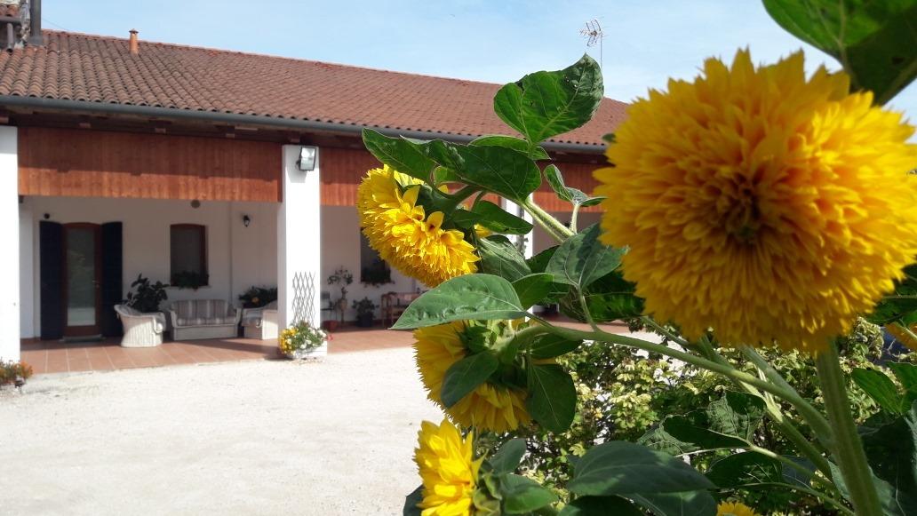AGRITURISMO AI TIGLI