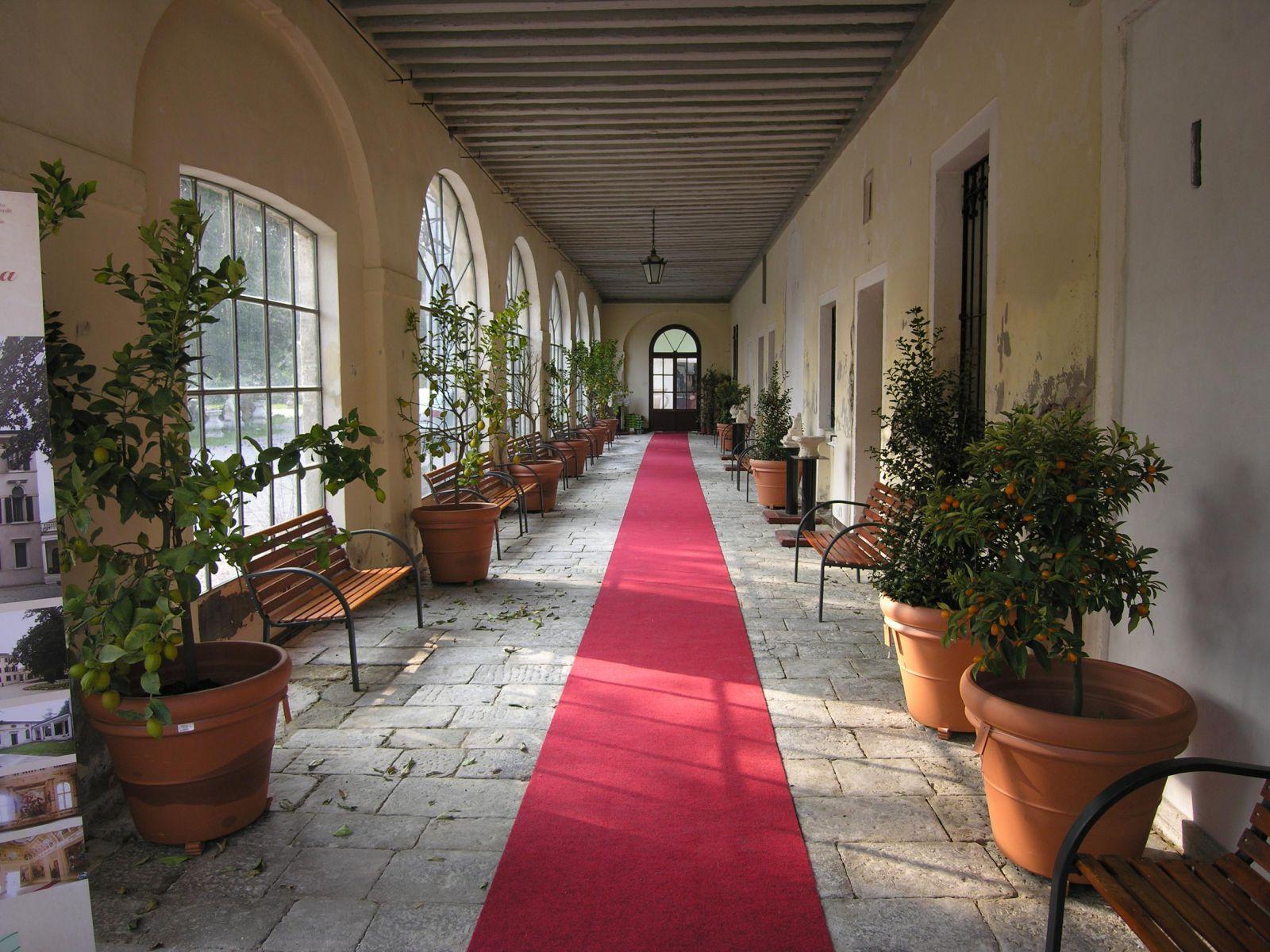 Villa Venier Contarini