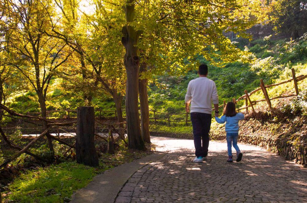 Chiusura Parco Giardino Sigurtà