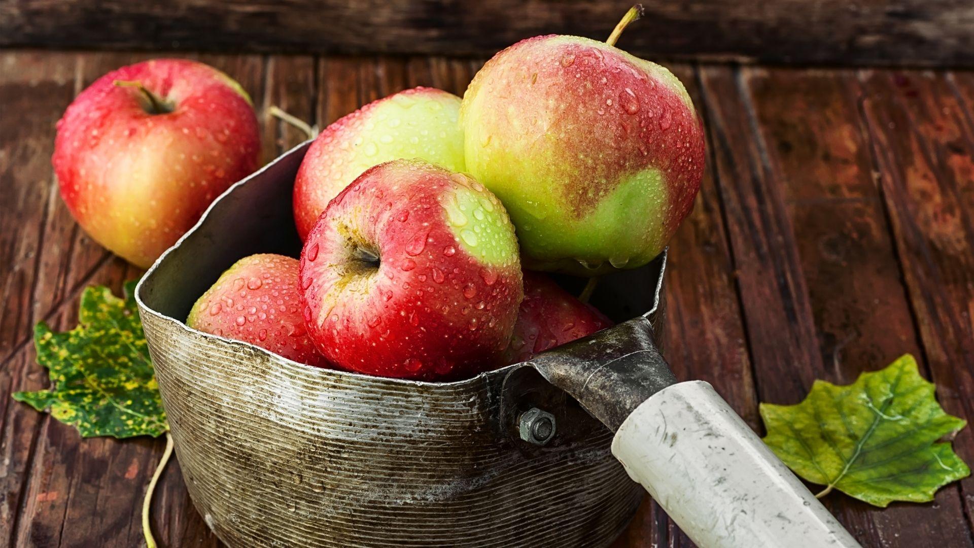 Tracce di Foliage – Apple tasting: i gusti autentici delle mele