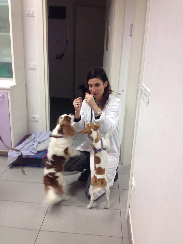 Ambulatorio Veterinario Rampazzo