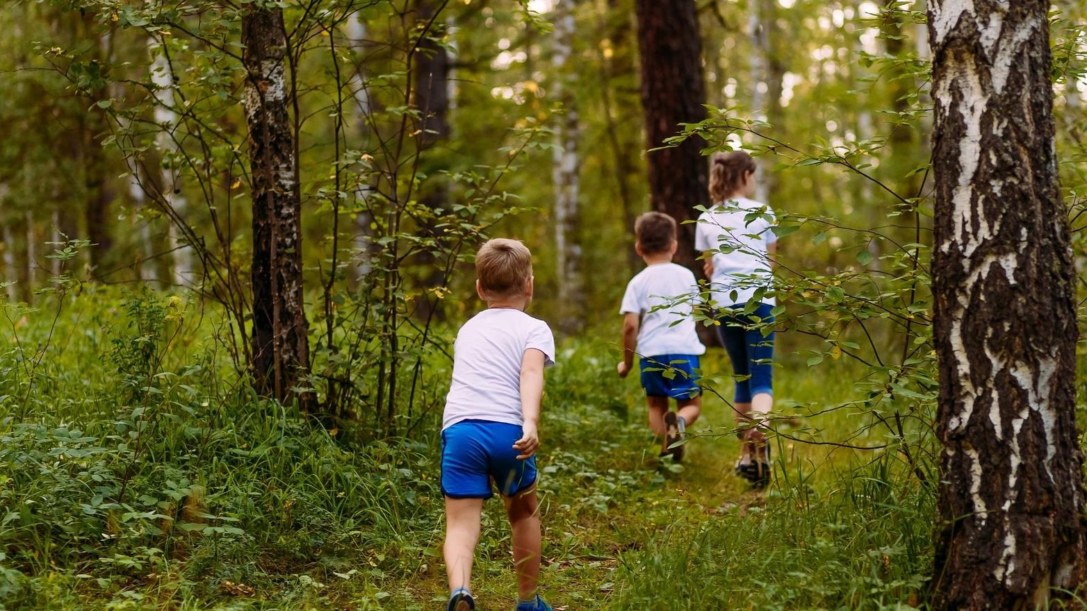 Family Woodland