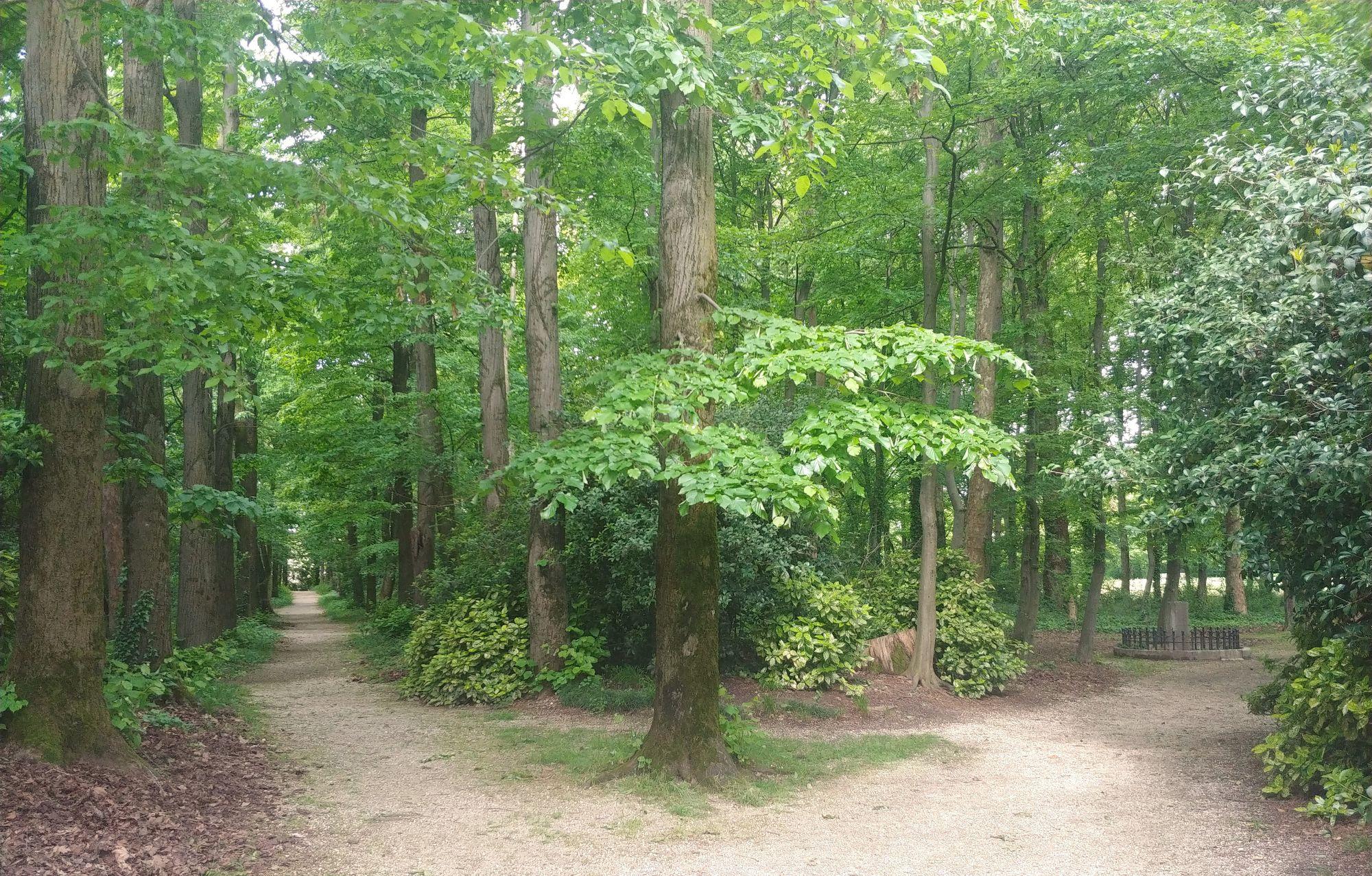Parco Romantico Romanin Jacur