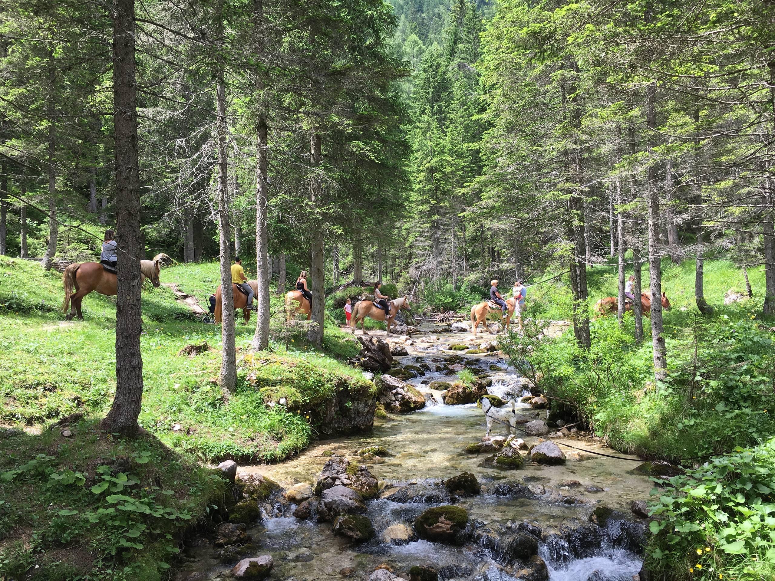 Maneggio Zoldo Mountains