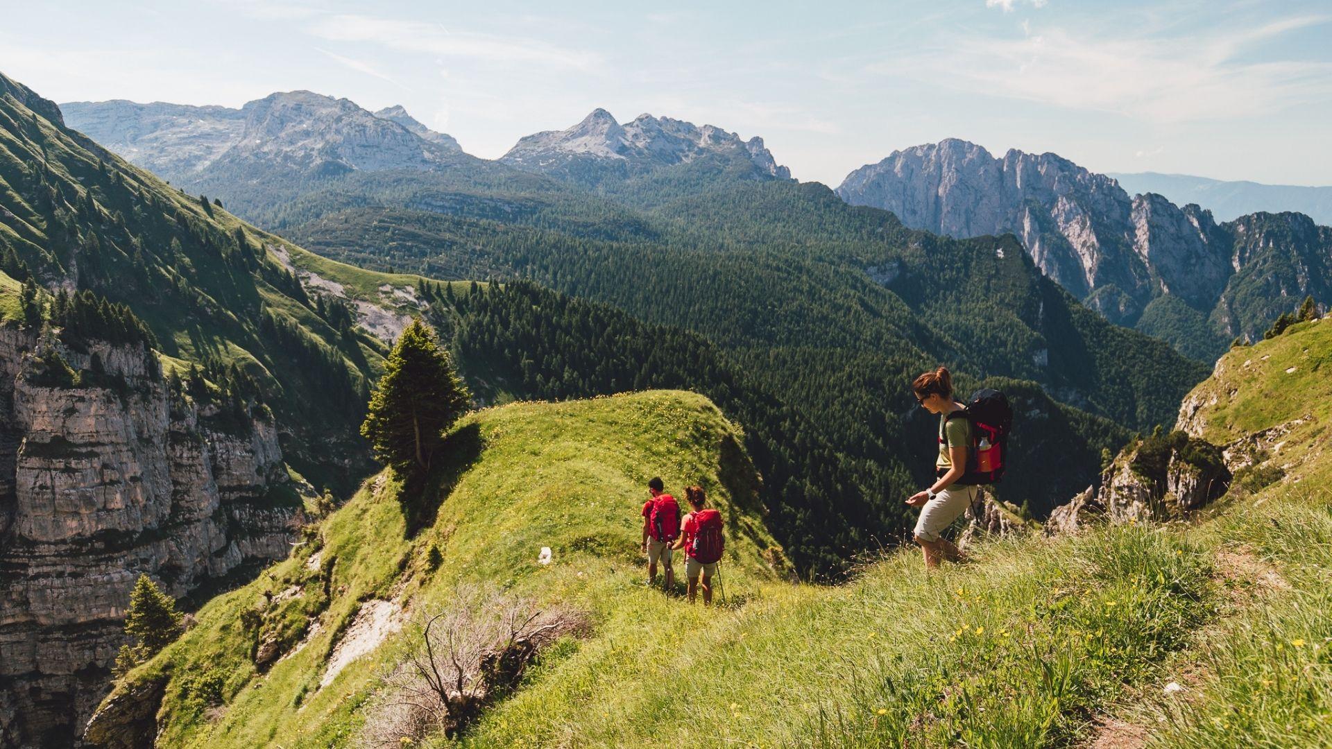 Alta Via Dolomiti Bellunesi