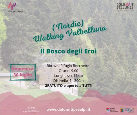 Immagine2