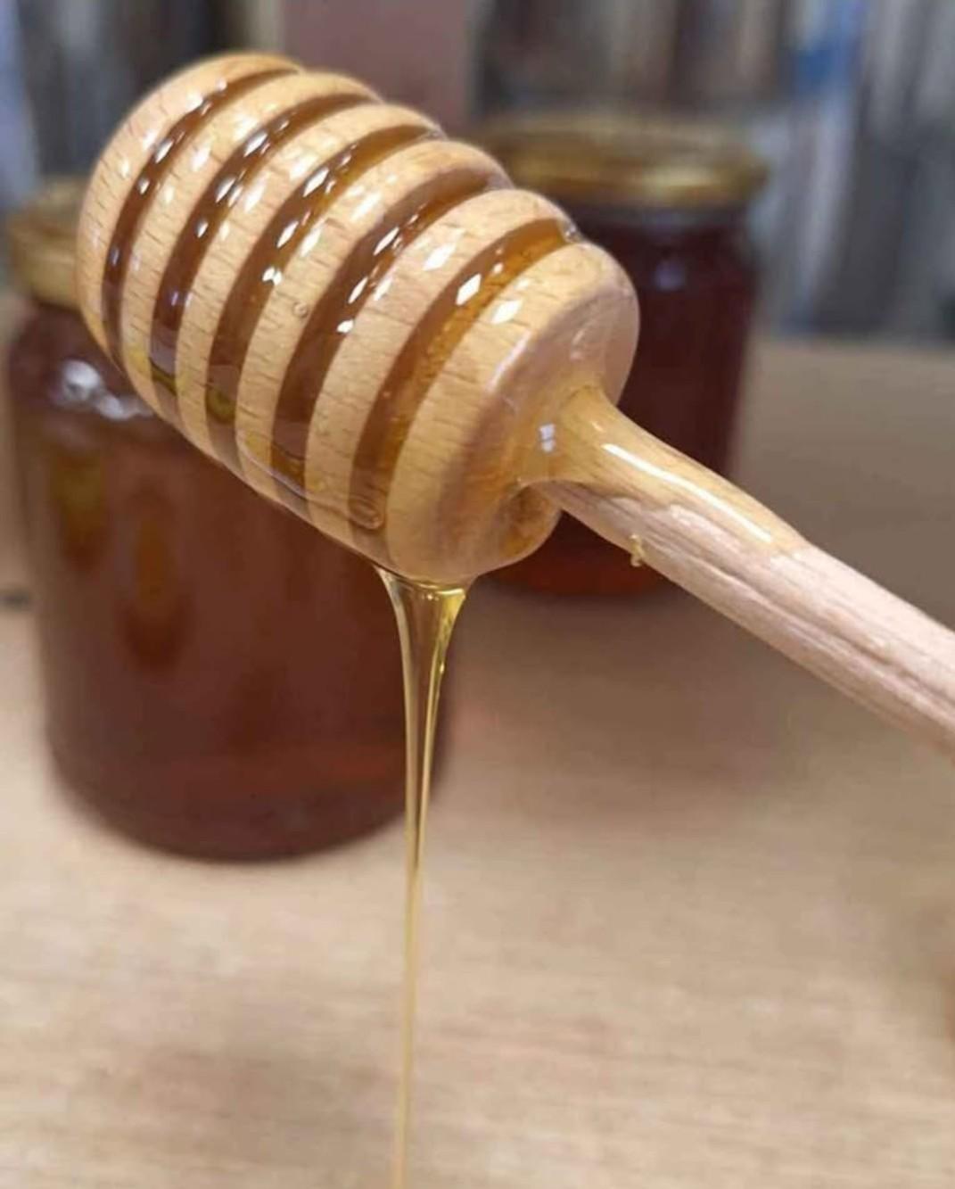 APICOLTURA TERAMAMA