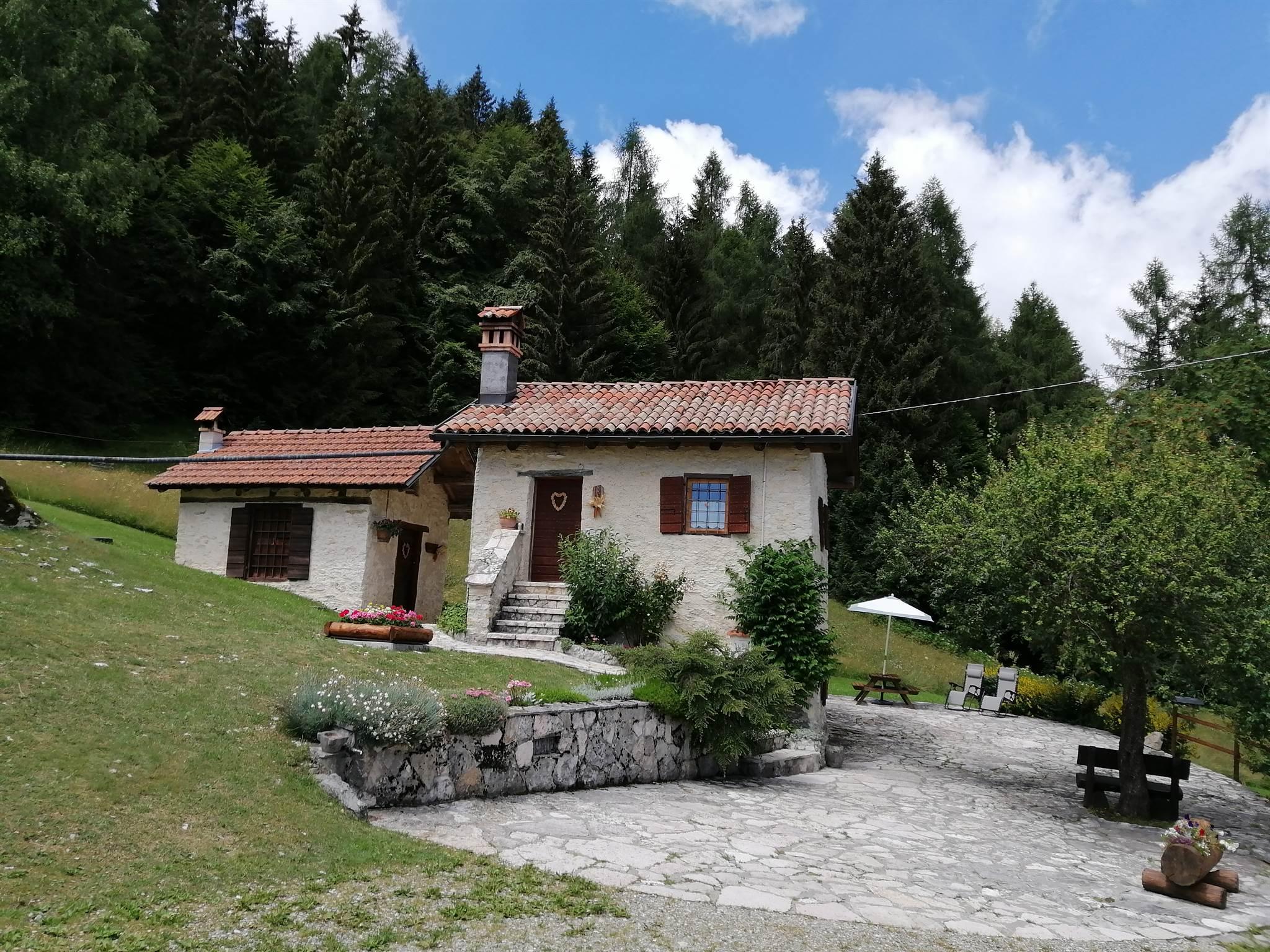 ALPE BRAUS