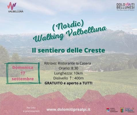 Immagine2