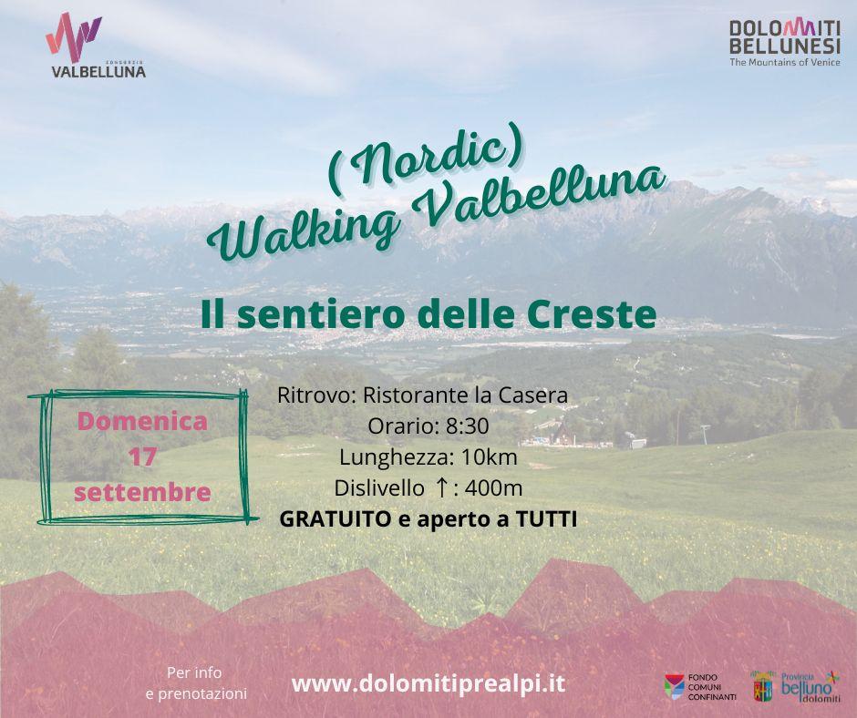 Immagine2