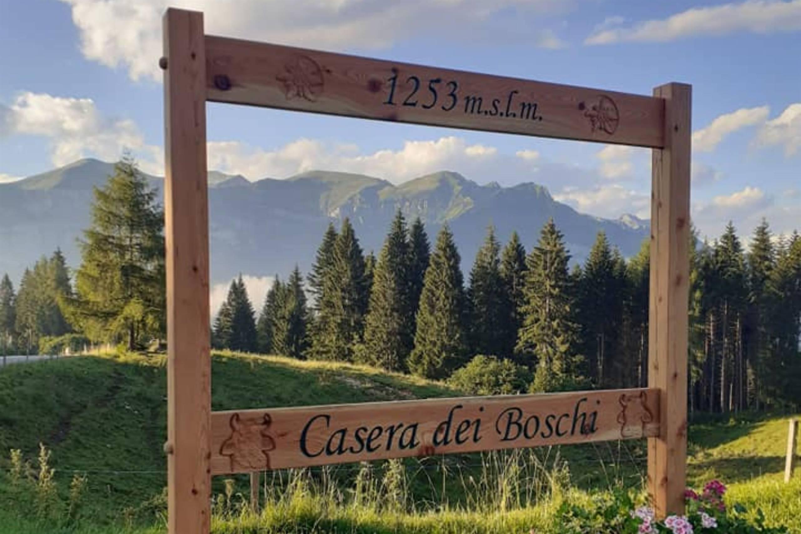 Agriturismo - Malga “Casera dei Boschi” - 2