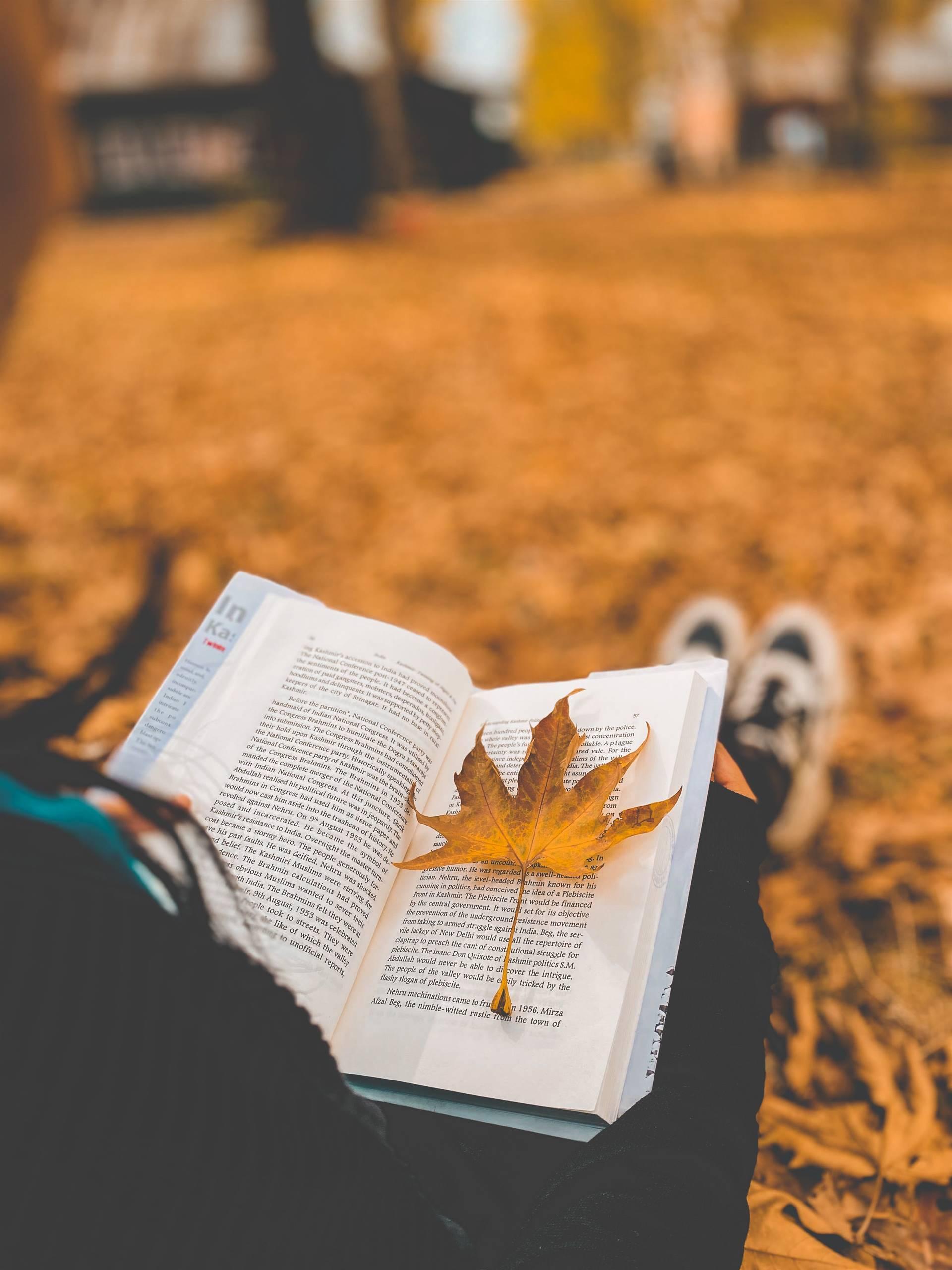 Pagine d'Autunno 2026