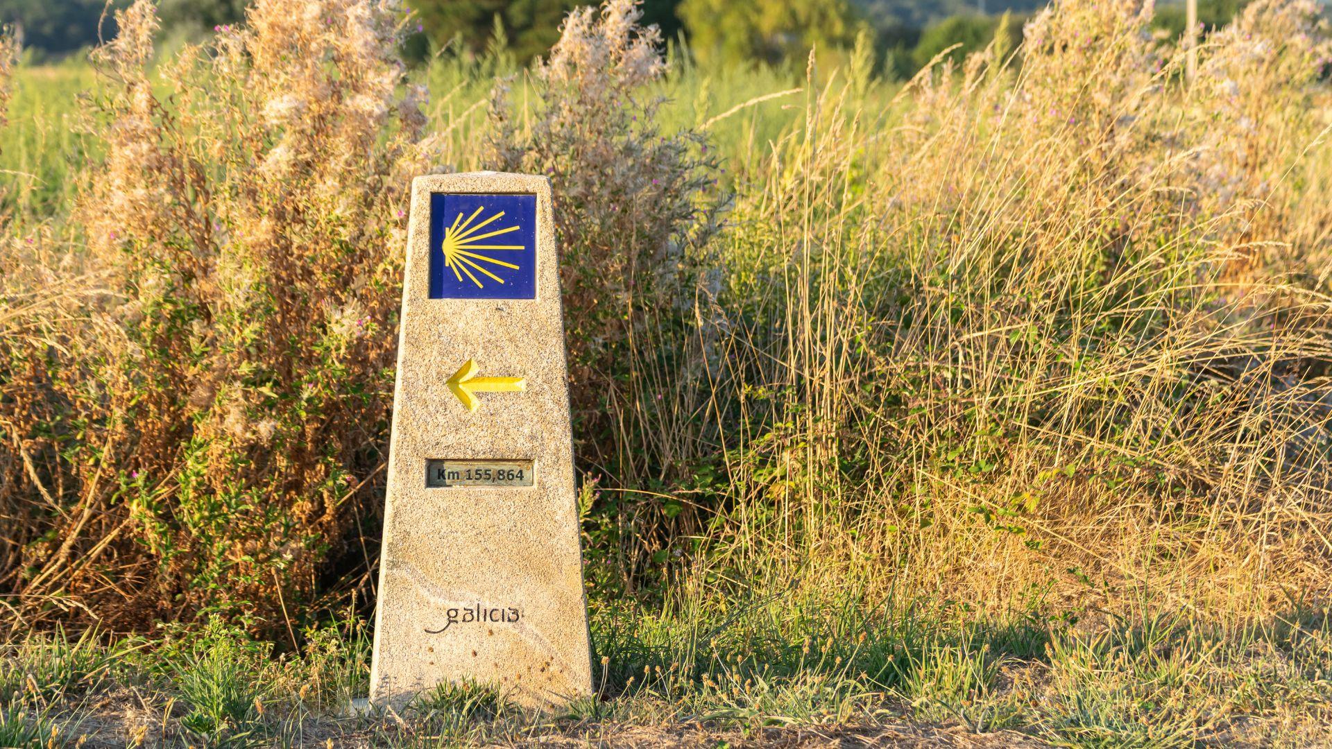 Sulle tracce della Solidarietà e del Dono