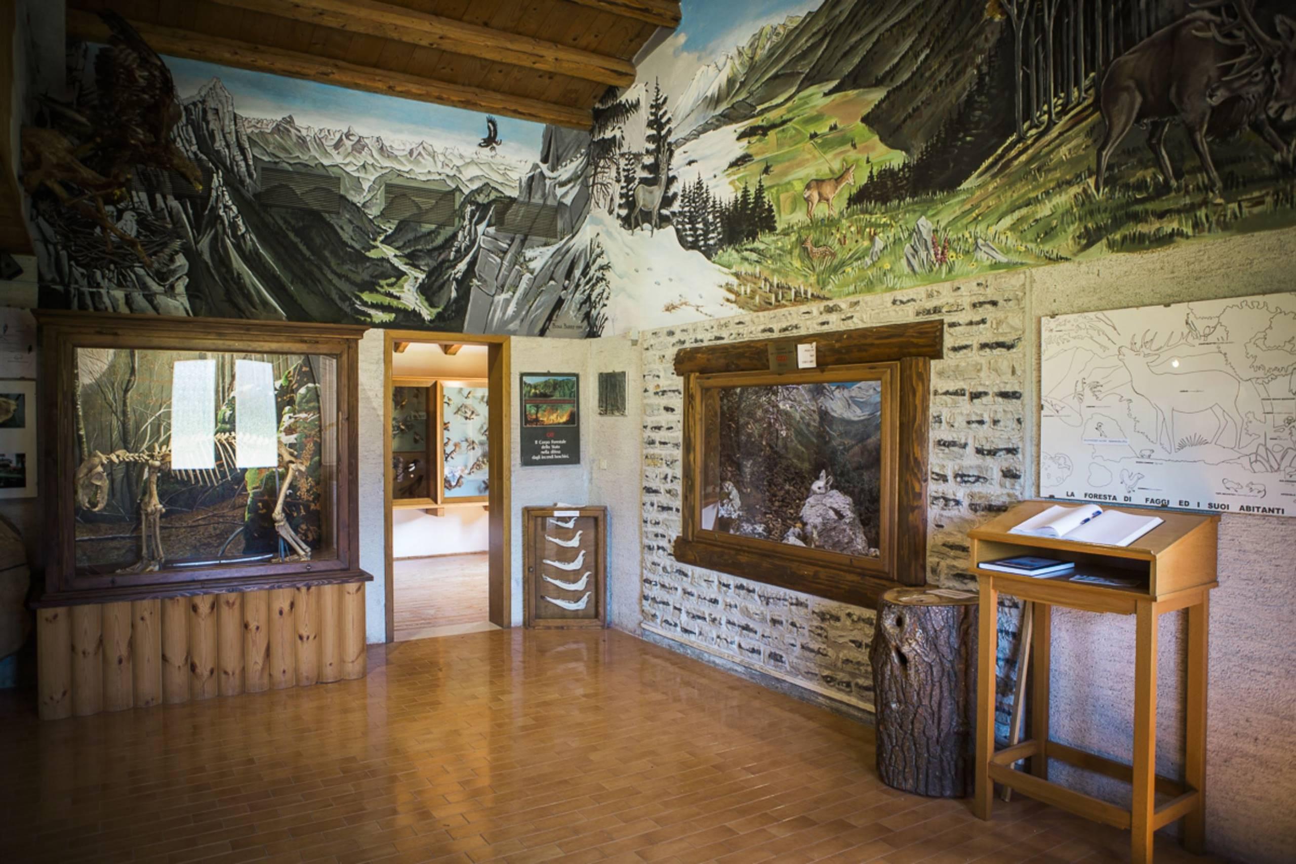 Museo Naturalistico "Giovanni Zanardo"