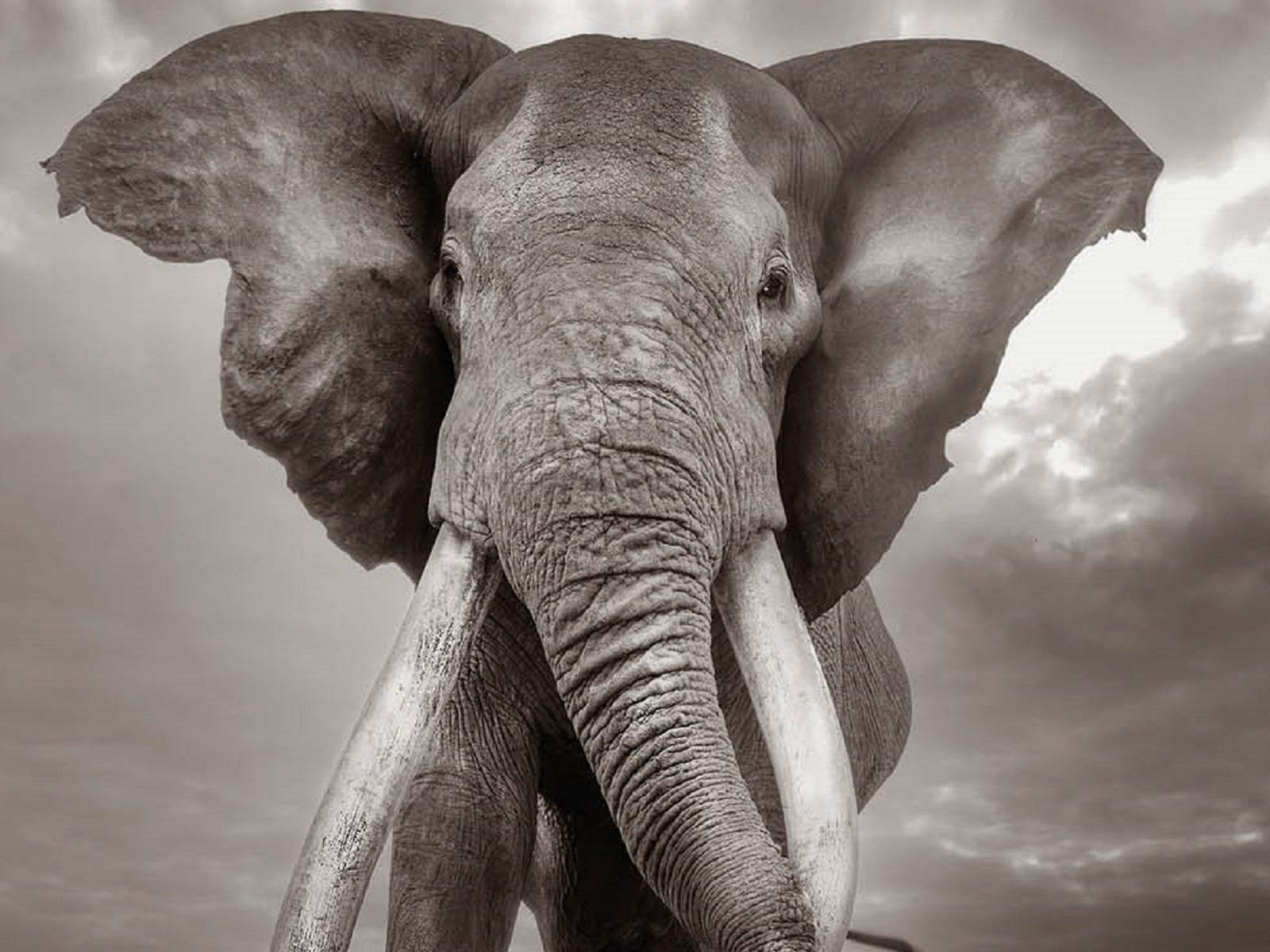 Cristina Mittermeier. La grande saggezza