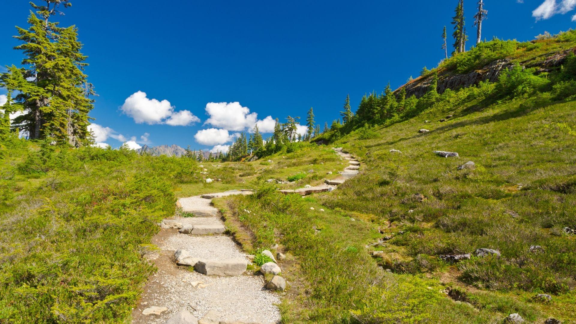 Eventi Estate 2026 - Rifugio Casera Ere